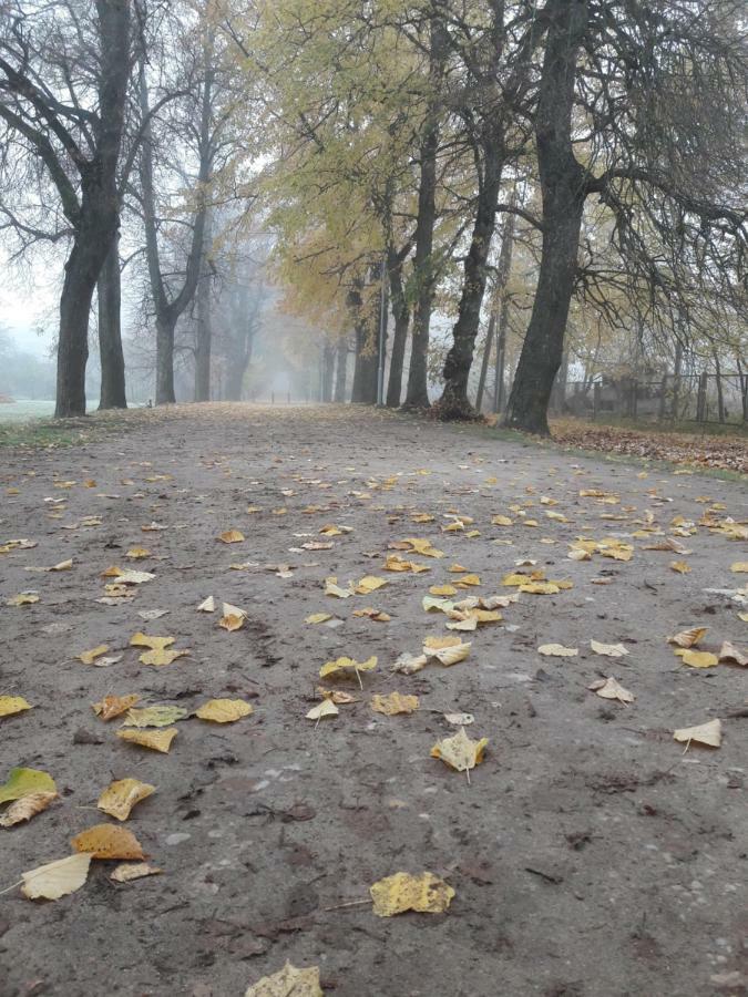 Alejas Namins Villa Jurgi Buitenkant foto